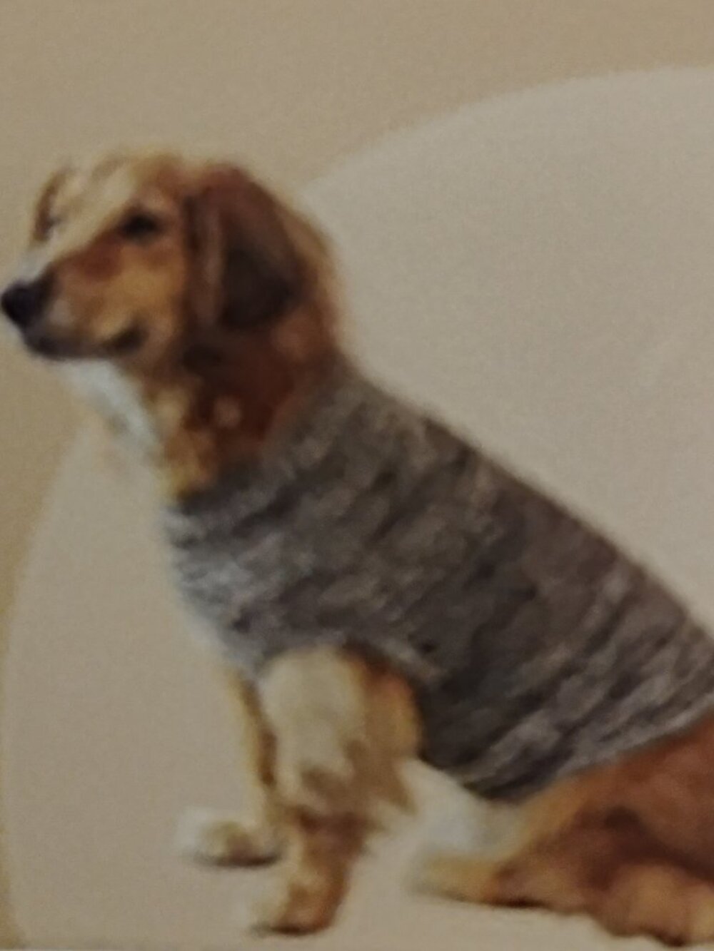 Dog Sweater NEW Chenille Turtleneck Soft Stretchy Cozy Comfy Black White L